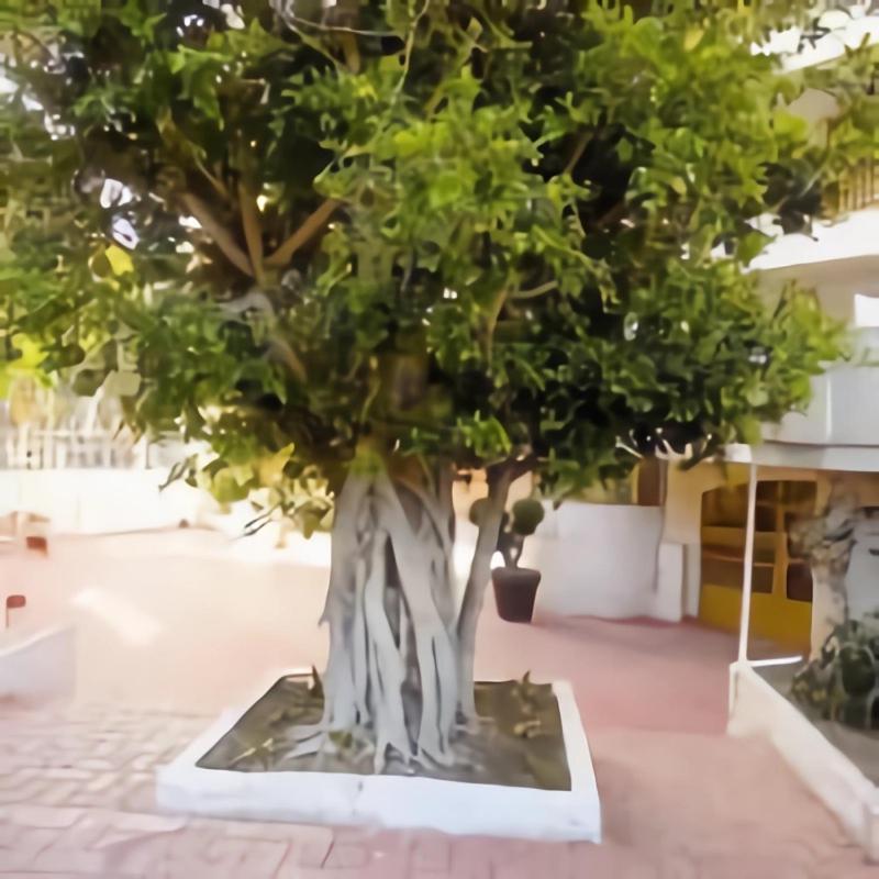 Luminoso Apartamento En Salou Con Terraza Y Parque Infantil Ideal Familias ภายนอก รูปภาพ